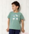 子供服 男の子 綿100％動物シリーズ恐竜プリントTシャツ グリーン(08) モデル画像1