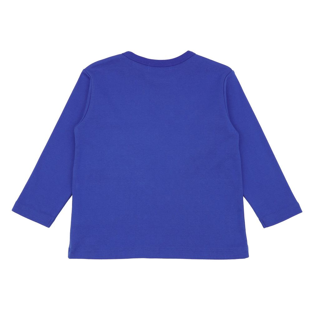 ベビー服 男の子 恐竜 刺繍 ポケット付き 微起毛トレーナー ブルー(61) 背面