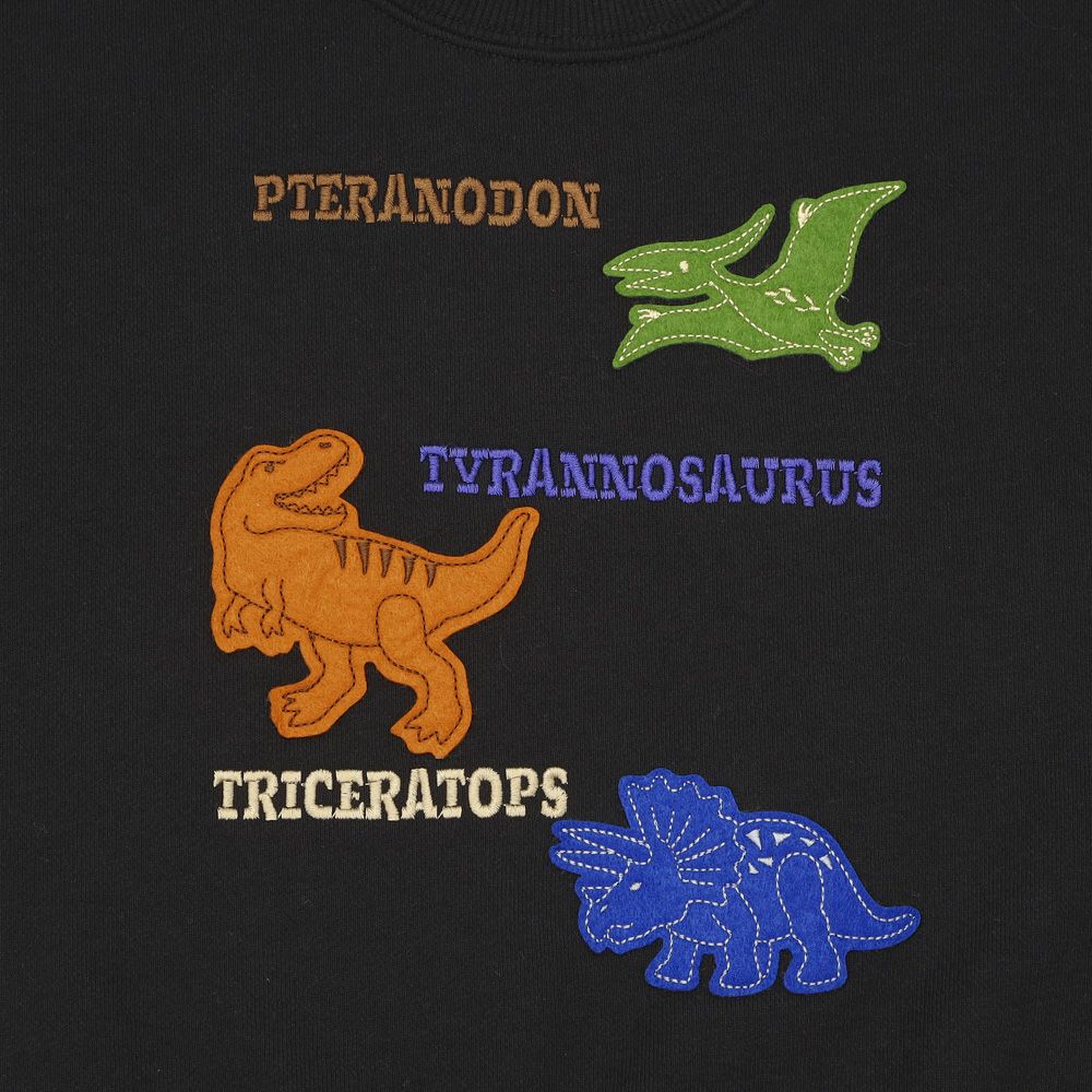 ベビー服 男の子 恐竜モチーフ アップリケ 裏毛トレーナー ブラック(00) デザインポイント1