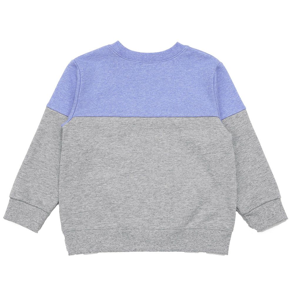 子供服 男の子 子ども服 こども服 キッズ ジュニア バイカラー 切り替え ポケットつき 裏毛 ブルー(61) 背面
