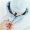 ぬいけっと ちいさな幸せ　cocory friends 10